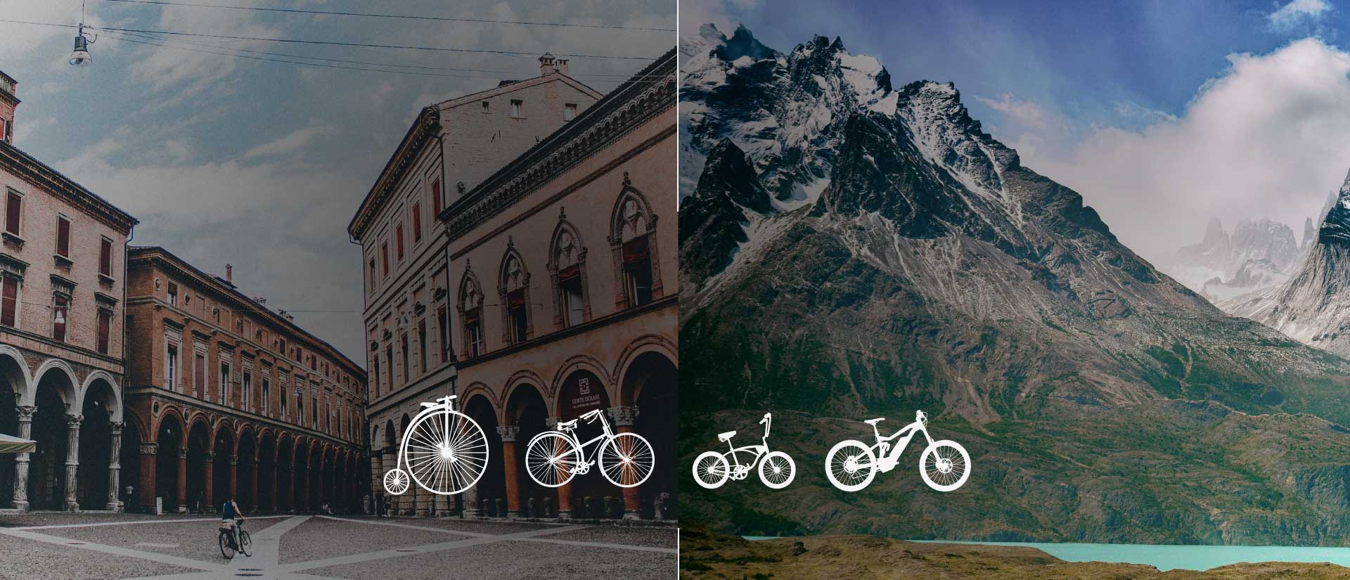 The evolution of bicycles
