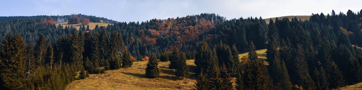 The Asiago Plateau is a perfect place to set off on an autumn bike ride