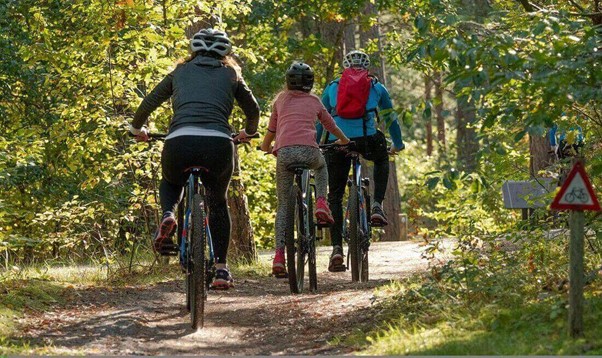 Cycling in the Forest with your Kids